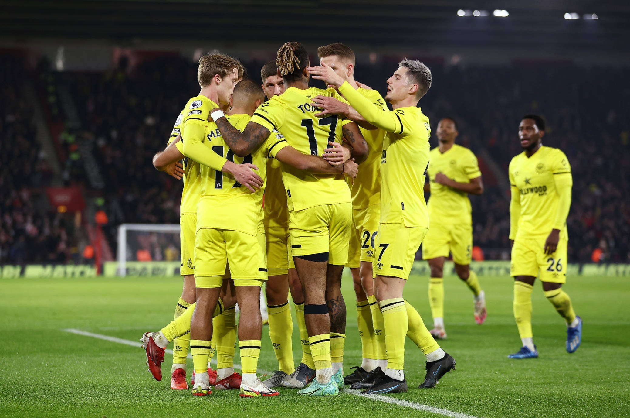 专家表示姆 专家表示姆